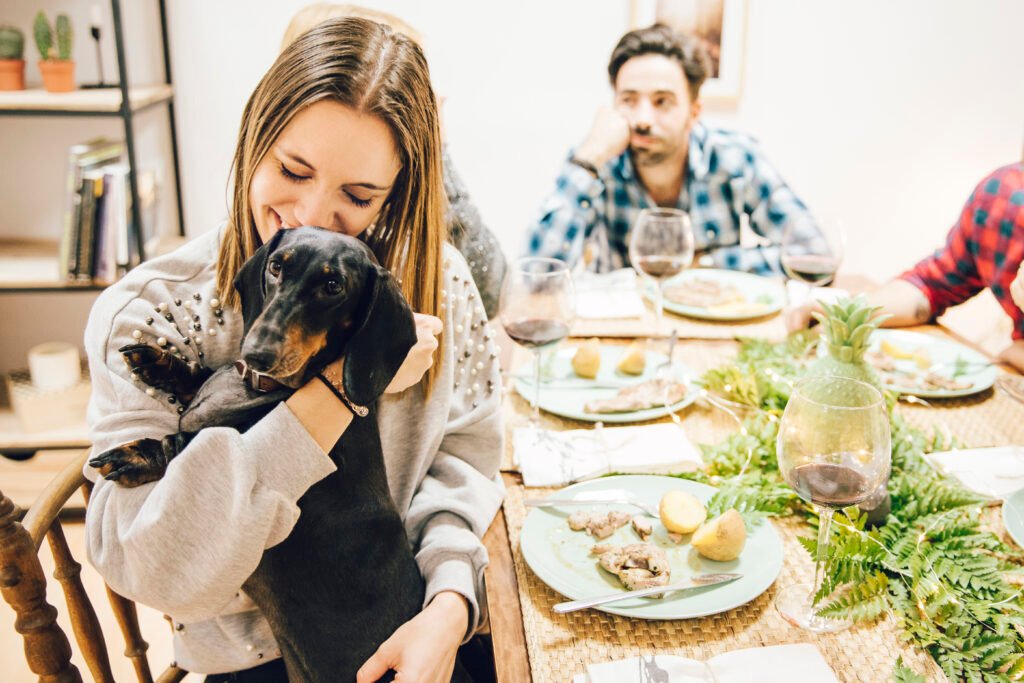 Can Dogs Eat Turkey? Thanksgiving Dog Safety Tips Every Pet Parent Needs