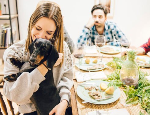 Dog sitting beside Thanksgiving table with turkey – Good Pup Guide